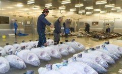 占地4000平高5米海鲜冷库安装需要多少钱？