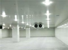 300平方高3米冷库造价大概在多少钱？