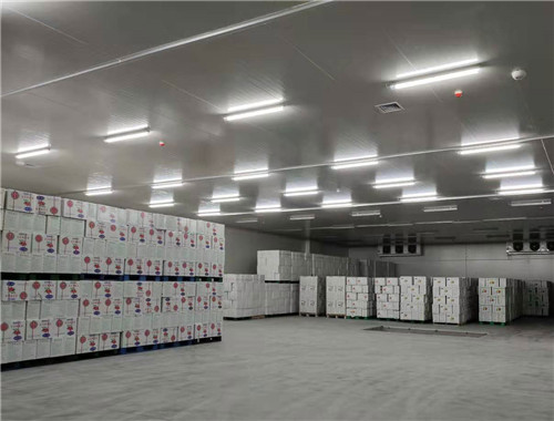 300平方高3米冷库