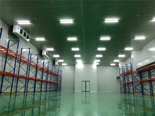 一万平出租型冷库 一万平出租型冷库