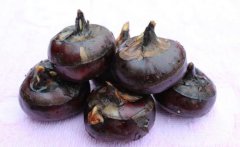 建个存放马蹄（荸荠）保鲜冷库需要多少钱？