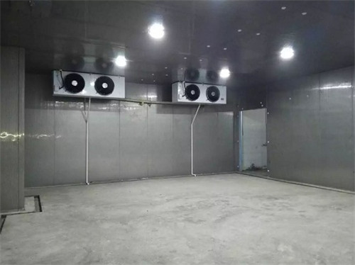 马蹄(荸荠)保鲜冷库 马蹄(荸荠)保鲜冷库