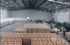 新建一个存放丑橘保鲜冷库，大概需要多少造价？