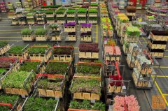 上海1000㎡花卉恒温库安装设备需要多少钱