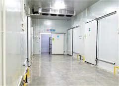 2020年冷库值不值得投资?冷库现状如何?