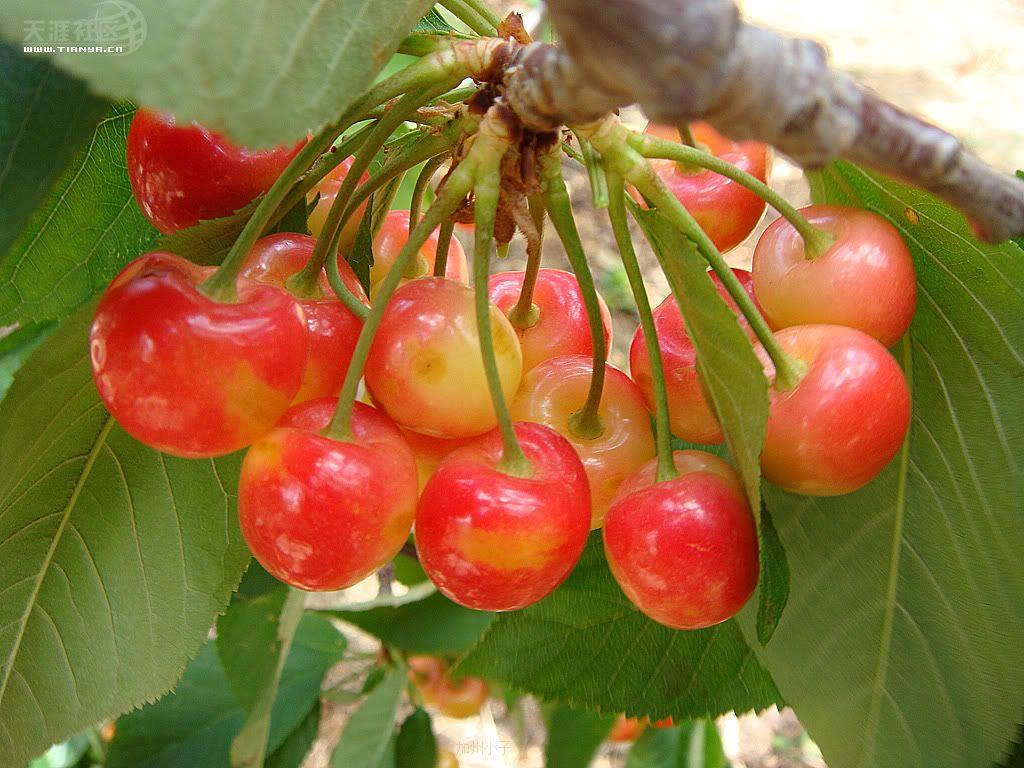 南宫ng28注册平台入口-南宫28在线登录-南宫28圈电脑版-南宫28在线注册网站-南宫集团加拿大28-南宫28相信品牌的力量链接-南宫28NG国际-南宫ng娱乐app下载制冷，气调库，普通冷藏库