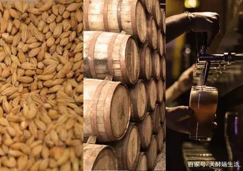 消泡剂在发酵领域的运用