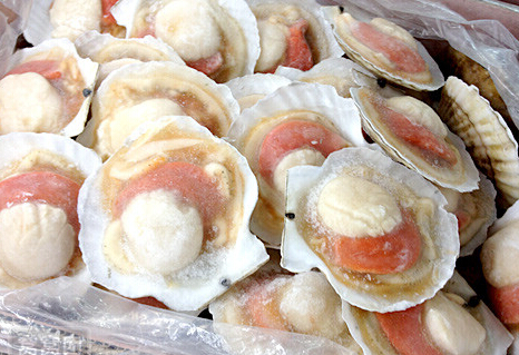 小型冷冻库建设维护及安全问题