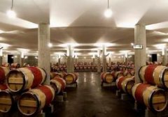 葡萄酒恒温冷库:红酒储存温度是多少