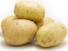 土豆储存-上海南宫ng28注册平台入口-南宫28在线登录-南宫28圈电脑版-南宫28在线注册网站-南宫集团加拿大28-南宫28相信品牌的力量链接-南宫28NG国际-南宫ng娱乐app下载冷库