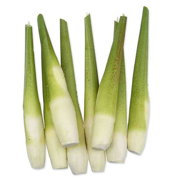 大型茭白保鲜库安装-上海南宫ng28注册平台入口-南宫28在线登录-南宫28圈电脑版-南宫28在线注册网站-南宫集团加拿大28-南宫28相信品牌的力量链接-南宫28NG国际-南宫ng娱乐app下载冷库