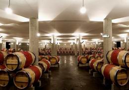 葡萄酒储存温度-上海南宫ng28注册平台入口-南宫28在线登录-南宫28圈电脑版-南宫28在线注册网站-南宫集团加拿大28-南宫28相信品牌的力量链接-南宫28NG国际-南宫ng娱乐app下载