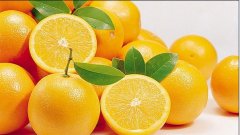 果蔬气调库建设