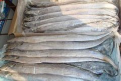 低温冷冻冷藏冷库安装后实际运营及维护