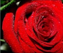 果蔬、鲜花气调冷库设计保鲜效果更好