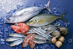 建一个速冻冷库多少钱/速冻冷库价格