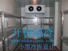 小型冷库设计的一般注意事项