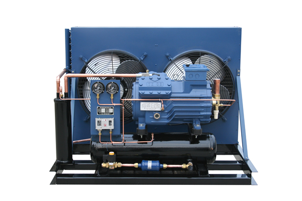 辣椒保鲜库压缩机