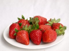 草莓保鲜库建造及造价