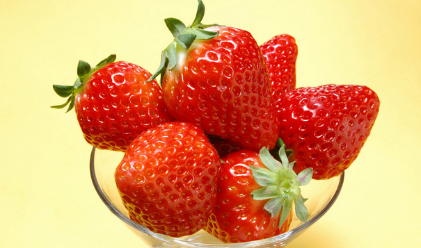 草莓保鲜库建造