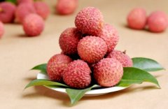 荔枝冷库设备设计及使用注意事项