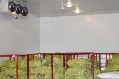 果蔬气调保鲜冷库保鲜储存原理