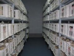 保鲜冷库贮藏龙眼（桂圆）的方法