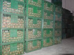 鸡蛋保鲜冷库贮藏技术