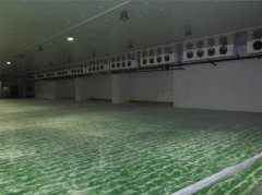 苹果冷库工程设计原则