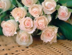 鲜花冷库保鲜技术