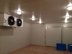 220V能建冷库多大？（低温冷库）