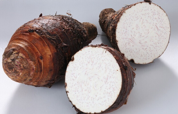 芋头速冻保鲜库