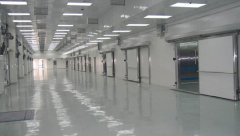 -23℃低温冷冻库贮藏速冻后芋头