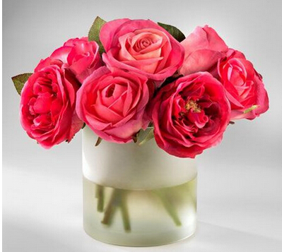 南宫ng28注册平台入口-南宫28在线登录-南宫28圈电脑版-南宫28在线注册网站-南宫集团加拿大28-南宫28相信品牌的力量链接-南宫28NG国际-南宫ng娱乐app下载制冷提供鲜花保鲜库建设安装服务