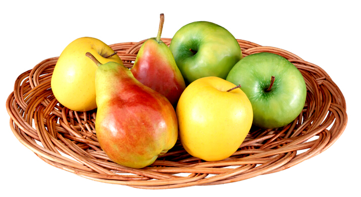 南宫ng28注册平台入口-南宫28在线登录-南宫28圈电脑版-南宫28在线注册网站-南宫集团加拿大28-南宫28相信品牌的力量链接-南宫28NG国际-南宫ng娱乐app下载制冷水果气调库保鲜库建设