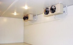 水果气调保鲜库-二氧化碳水果保鲜技术