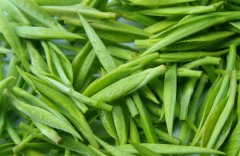 茶叶冷藏库-安装茶叶冷藏库的优势特点