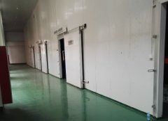 【图】上海冷库出租价格【长期有效】