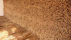 建一个山药保鲜库贮藏山药有哪些好处？