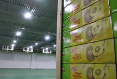 哪些是1000吨小型冷库建造价格因素？