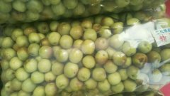 冻库设计,冬枣保鲜库多少钱?