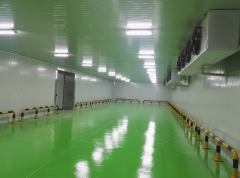 2500-3000平米海鲜低温冷冻库多少钱