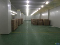 1000平方冷库造价表及图片