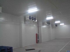 GSP医疗冷库2-8℃冷库建设报价，案例