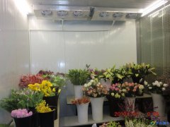 建一个鲜花花卉保鲜冷库需要多少钱