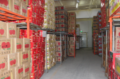 建造一个猕猴桃冷库需要投资多少钱？