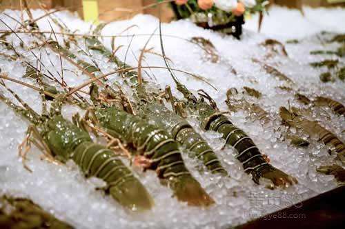 海鲜冷冻库建造