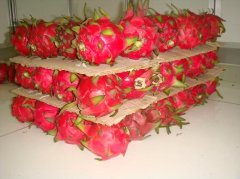 水果店建个水果冷藏库安装及使用