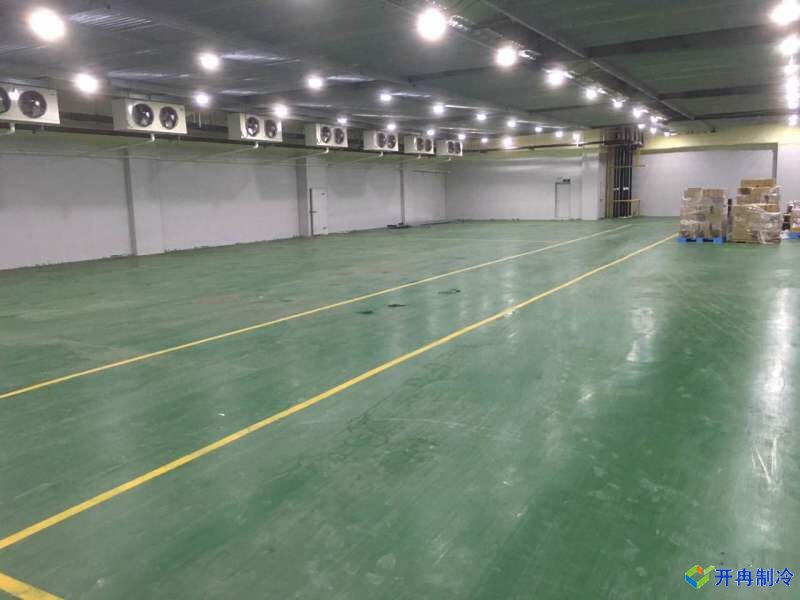 上海松江香车路299号瓜果保鲜库建设案例