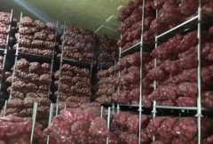 洋葱冷藏库安装设计及造价,洋葱保鲜期